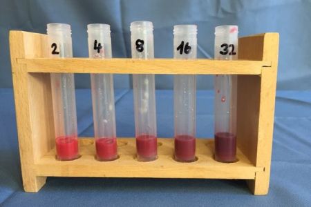 experimentieren-forschen_IMG_2829.jpeg